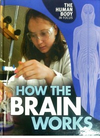 Image of The Human Body In Focus : How The Brain Works
